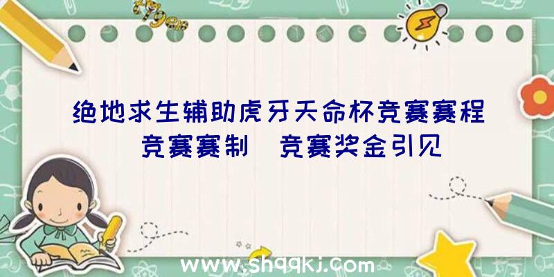 绝地求生辅助虎牙天命杯竞赛赛程|竞赛赛制|竞赛奖金引见